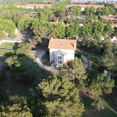 Un Nid En Camargue Bed and Breakfast Salin-de-Giraud Buitenkant foto
